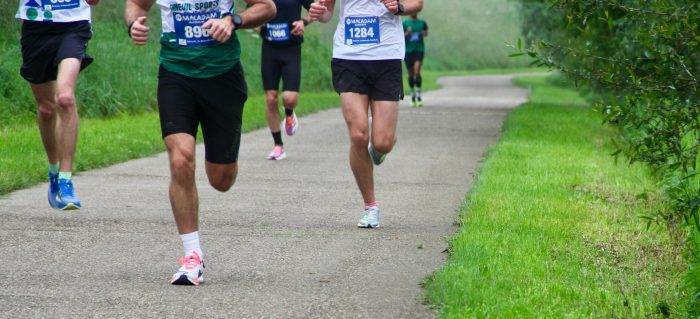 runners on a path through a park