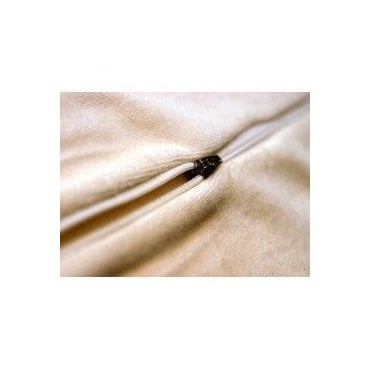 Classic Pillow Ivory Velour Cover